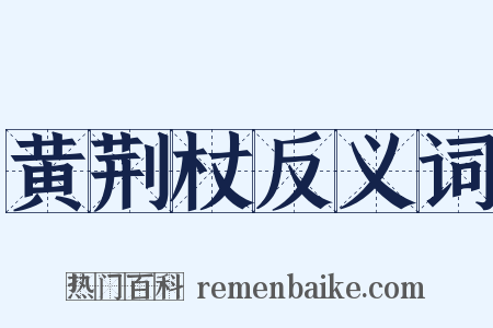 黄荆杖反义词是什么意思的图片